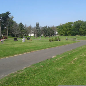 CALEDONIA CEMETERIES