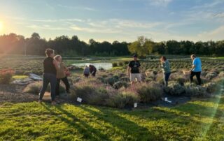 A group of people in a field of lavender