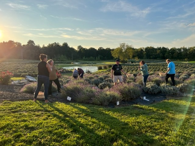 A group of people in a field of lavender