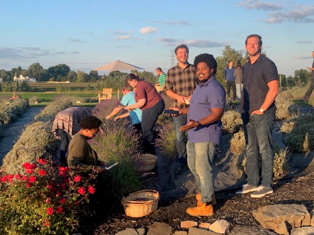 A group of people standing in a lavender patch